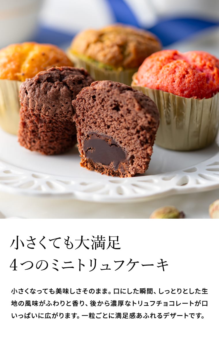 ブールミッシュ BOULMICH ミニトリュフケーキ 9個入 MTF-B / スイーツ 個包装 洋菓子 焼菓子