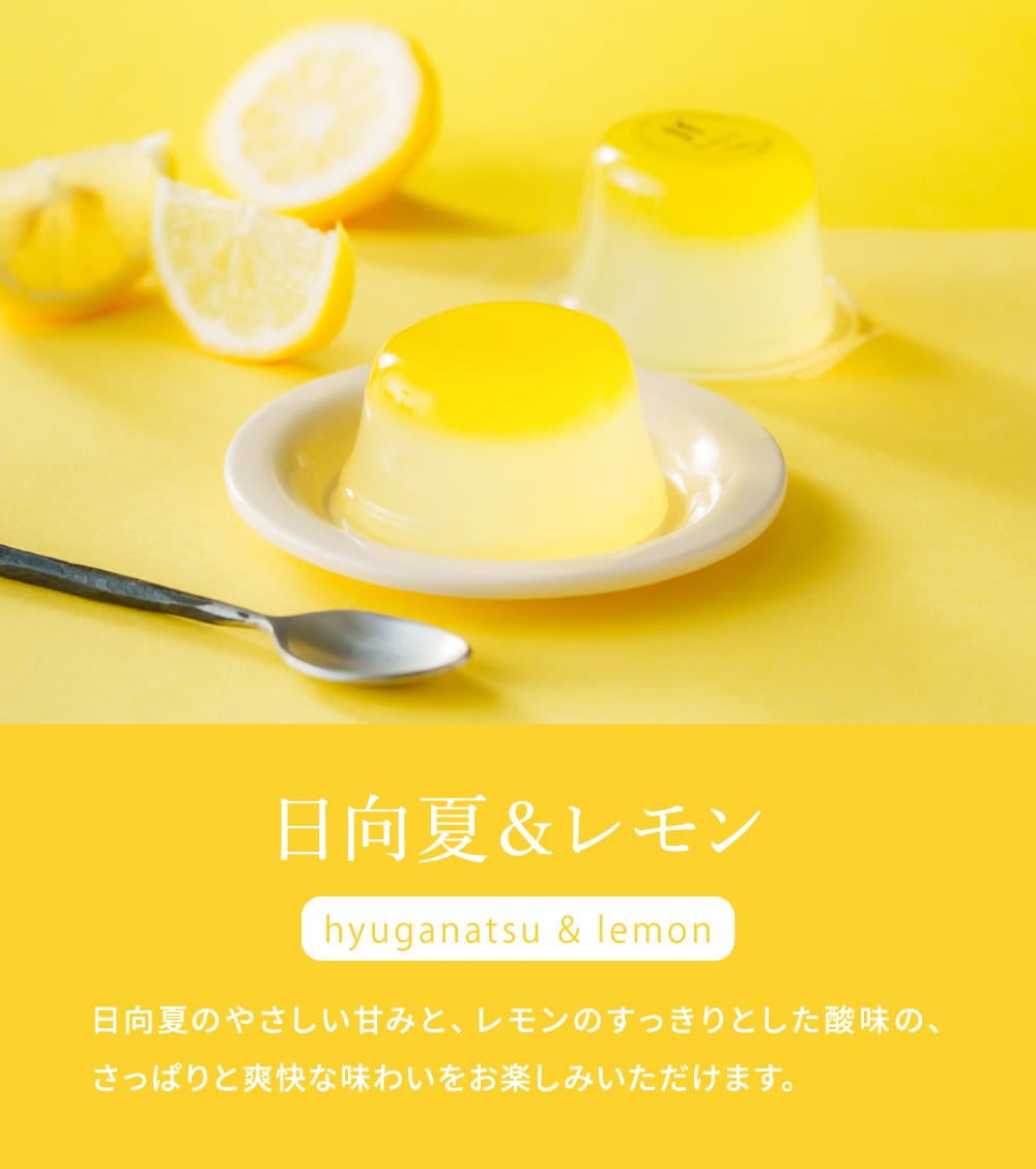 お菓子 ゼリー ギフト ユーハイム 2層仕立てのフルーツゼリー 12個 フルーツゼリー 果物 くだもの 詰め合わせ おしゃれ 個包装