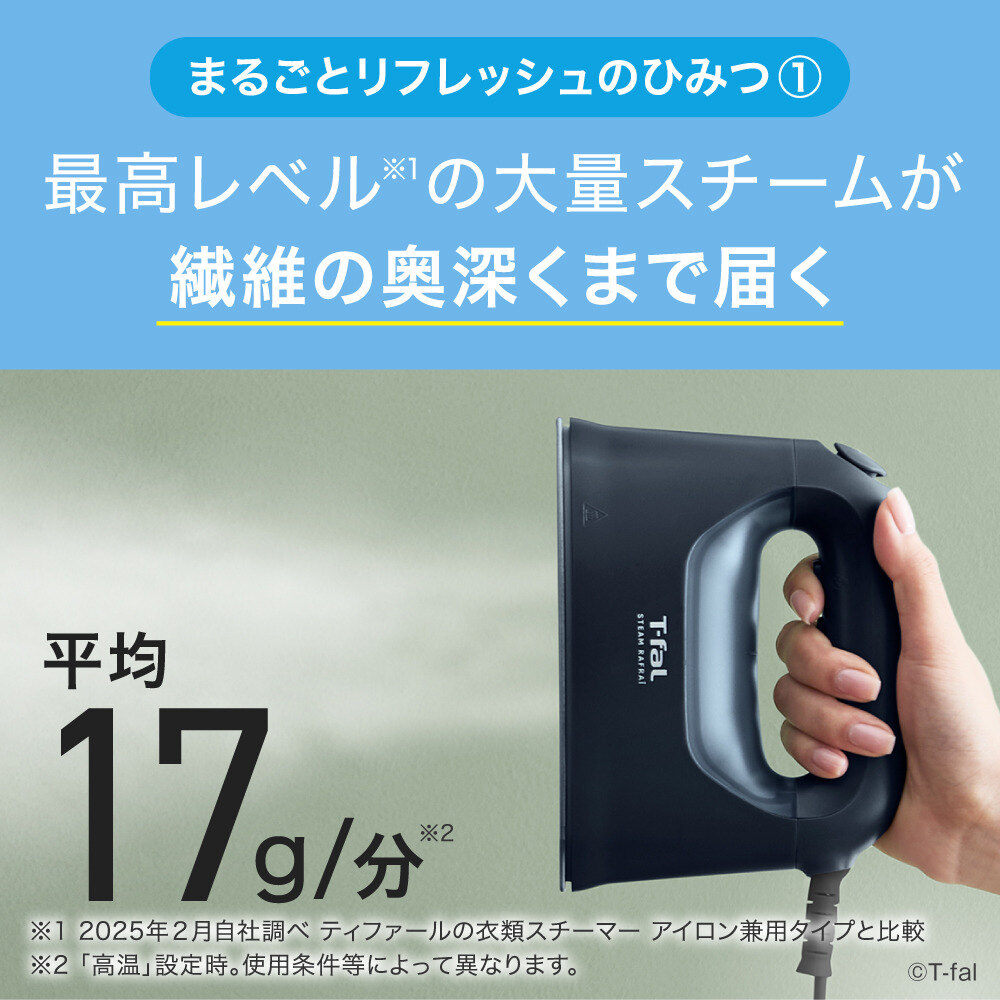 ティファール T-fal スチーム ラフレ DV8076J0 マットブラック 衣類スチーマー