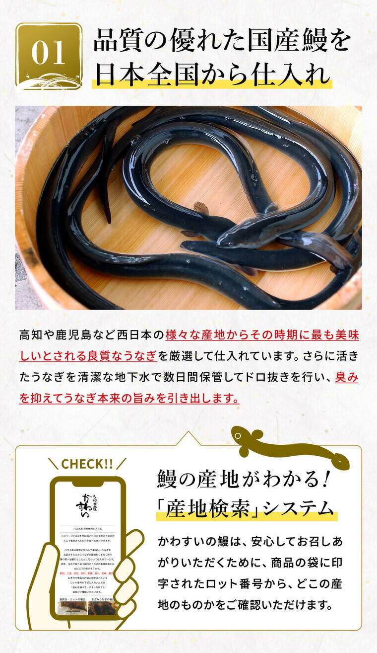 酒類 選べるビールとうなぎ セット ゾウのマイ2本 家飲みセット