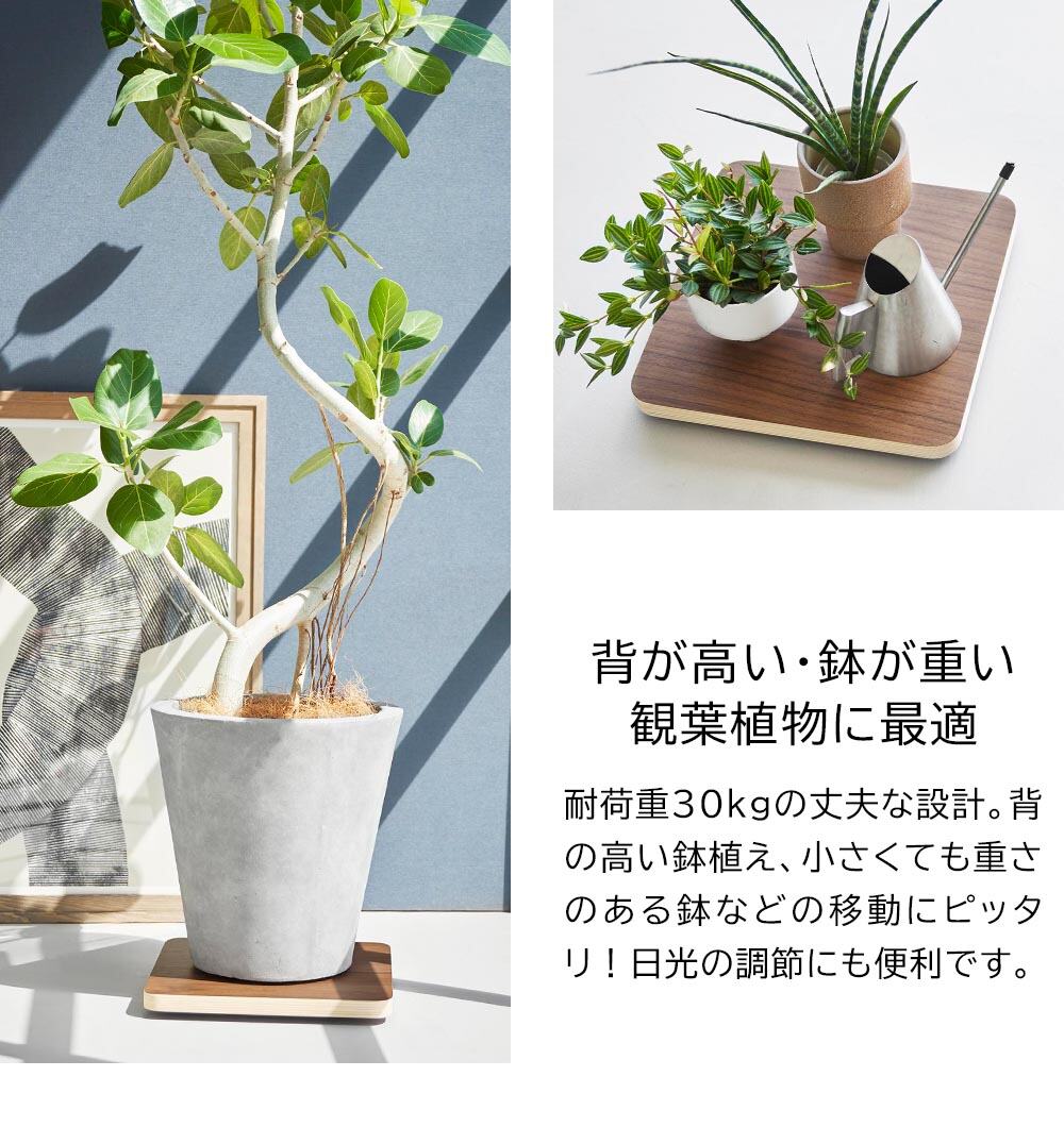 山崎実業 RIN インテリア低台車 リン スクエア 10064 10065 / ナチュラル