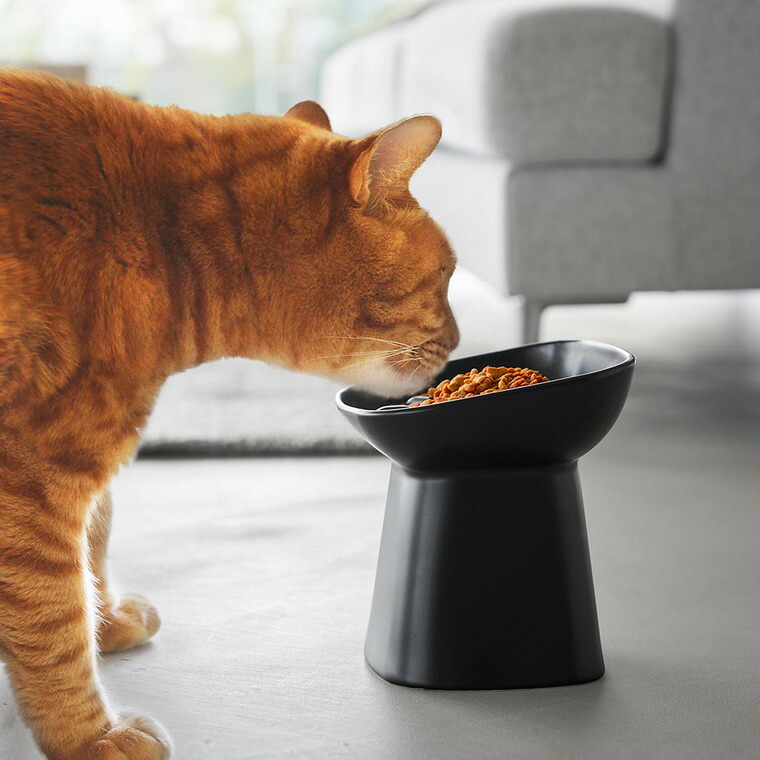 nooks 早食い防止陶器ペットフードボウル ヌークス 斜め H17 山崎実業 10559 10560 / ホワイト