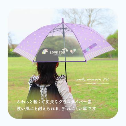 ジュニア耐風傘 透明窓付き 55cm チェックPI