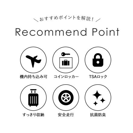 wise:ly ワイズリー スーツケース 27L 2500.シルバー