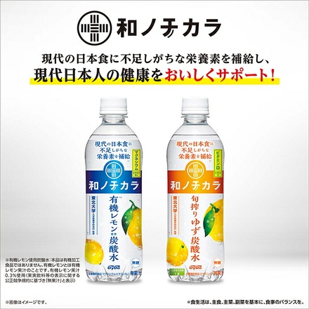 ダイドー 和ノチカラ 旬搾りゆず炭酸水 500mlペットボトル×24本入|炭酸 柚子 無糖 ビタミン