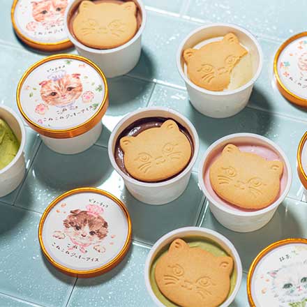 DADACA こねこのこねこねクッキーアイス 6種セット