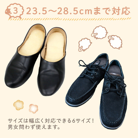 MILASIC あったか 羊毛混 インソール 2足セット イエロー Mサイズ TN-WMIS-VO-M