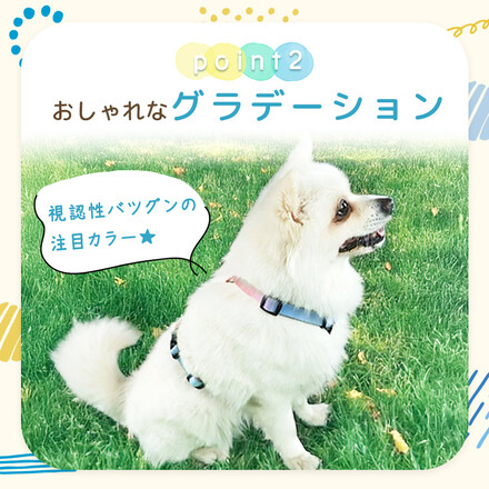 MILASIC 犬用 ハーネス ブルー Sサイズ TN-DGEG-BU-S