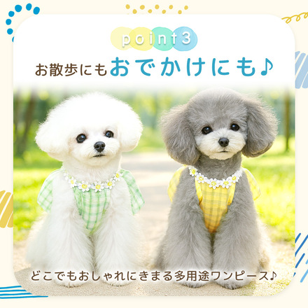 MILASIC 犬用 ギンガム ワンピース グリーン Sサイズ TN-DFOP-GR-S
