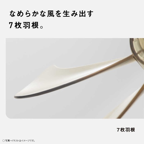 扇風機 DCリビング リモコン有り 24cm GY シィーネット CFDC240GY
