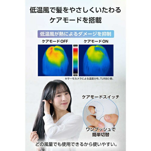 テスコム プロテクトイオン ヘアドライヤー TD561A-H 大風量 速乾 低温ケア ツヤ髪 マイナスイオン ブルーグレー