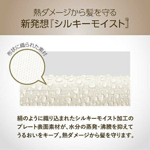 マイナスイオン２ＷＡＹアイロン ミストベージュ コイズミ KHR-7540/C