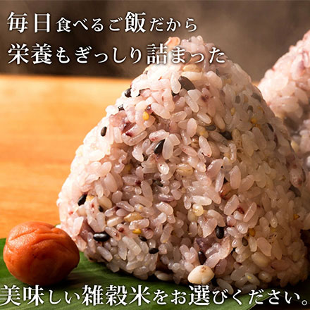 雑穀米本舗 国産 胡麻香る十穀米 900g(450g×2袋)