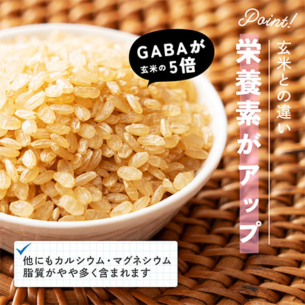 雑穀米本舗 国産 発芽玄米 2.7kg(450g×6袋)