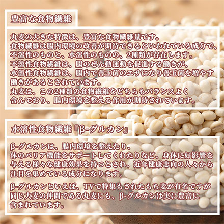 雑穀米本舗 国産 丸麦 900g(450g×2袋)