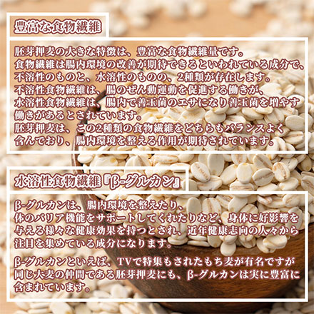 雑穀米本舗 国産 胚芽押麦 4.5kg(450g×10袋)