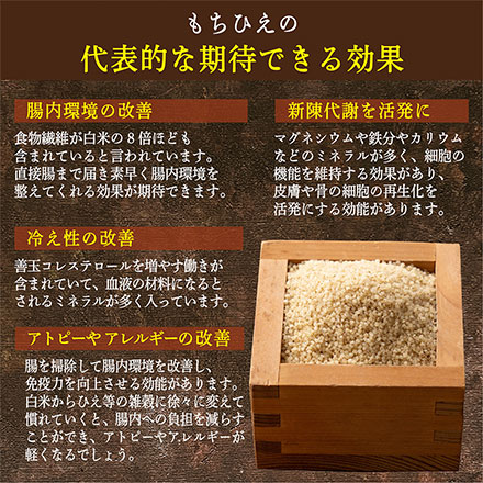 雑穀米本舗 国産 もちひえ 1.8kg(450g×4袋)