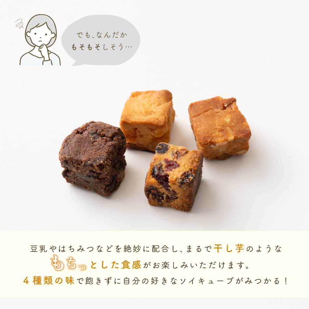 ソイキューブ(チョコくるみ) 【100g×1袋】