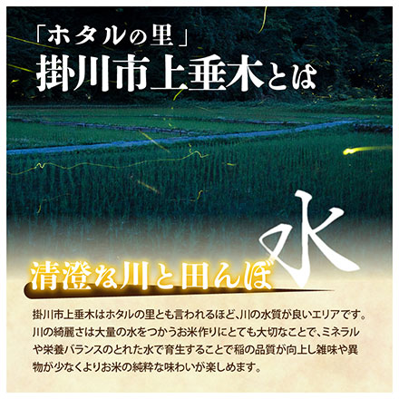 新米 【白米】39穀米ブレンド450gおまけ付き 静岡県掛川市上垂木産 こしひかり 5kg 令和6年産