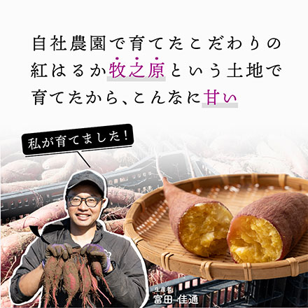 静岡県産 ”さつまいも” 紅はるか 5kg