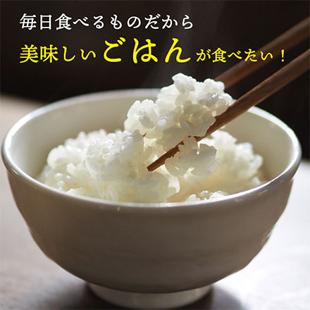 【セット販売】【白米20kg】ゆめぴりか10kg + ななつぼし10kg = 計20kg