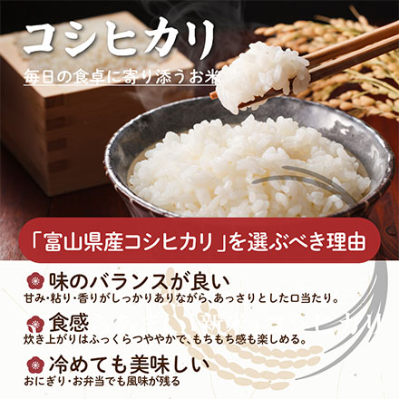 【白米】富山県産 コシヒカリ 10kg(5kg×2袋)