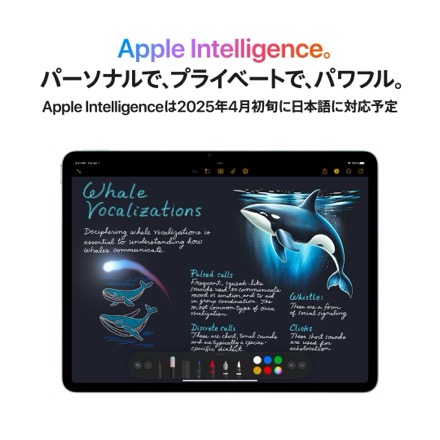 Apple iPad Air 13インチ Wi-Fi + Cellularモデル 128GB - ブルー