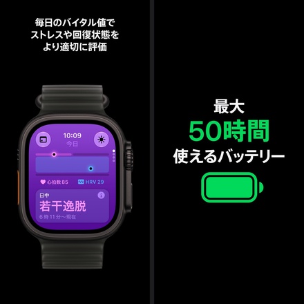 Apple Apple Watch Ultra 4（GPS + Cellularモデル）- 49mmブラックチタニウムケースとバーガンディアルパインループ - S