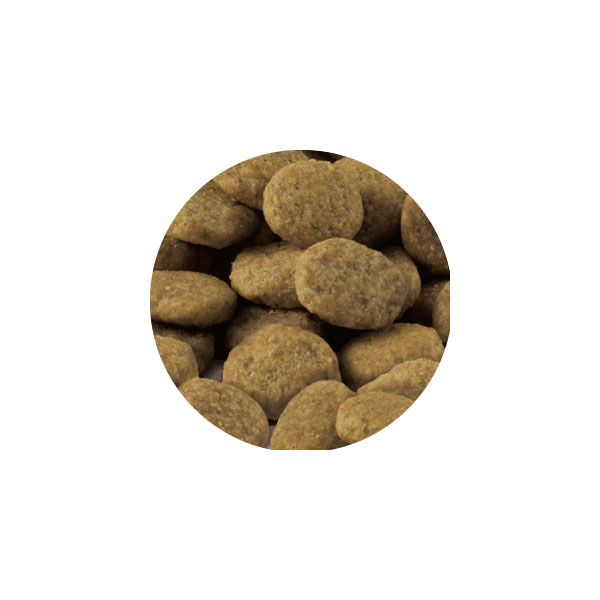 セレクトバランス グレインフリー スリム / 成猫の体重管理用 贅沢サーモン 1.4kg