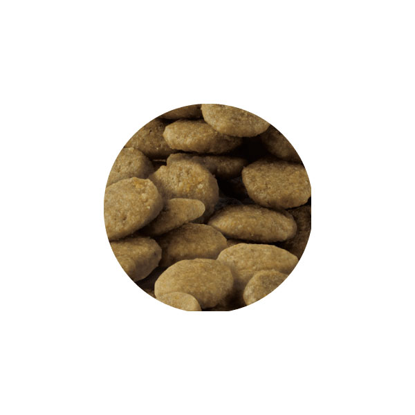 セレクトバランス グレインフリー エイジングケア / 7才以上の成猫の健康維持 贅沢サーモン 1.4kg