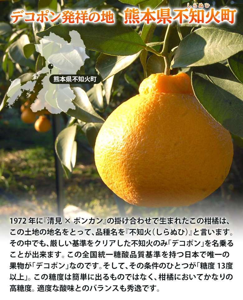 ご自宅用 デコポン 熊本県産 無印 約5kg（18-24玉） 産地箱 ※常温