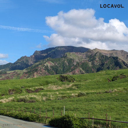 味彩牛　すき焼き肉（モモ）400g 九州地方 熊本県 美食うまいもん市場