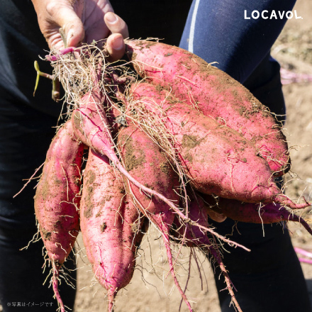 冷凍焼き芋甘太くん 5袋セット