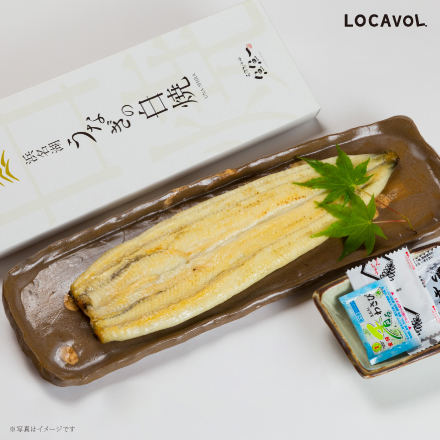 うなぎ白焼（長焼） 静岡県 東海地方 美食うまいもん市場
