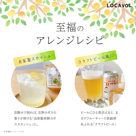 醗酵シロップ 完熟カボス 大分県 九州地方 美食うまいもん市場