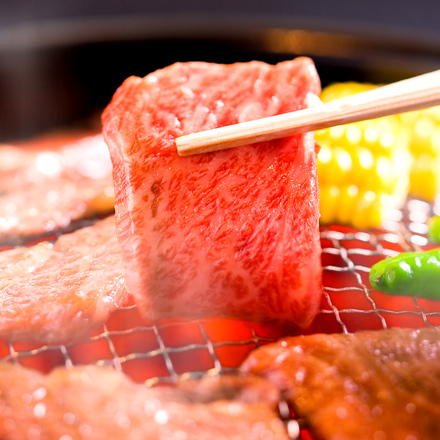 宮崎牛 特上赤身 焼肉 400g