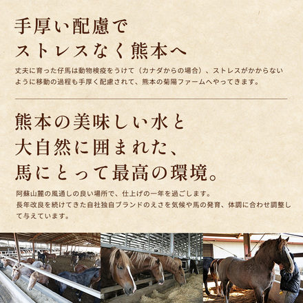 馬刺しと焼酎の晩酌セット【松】