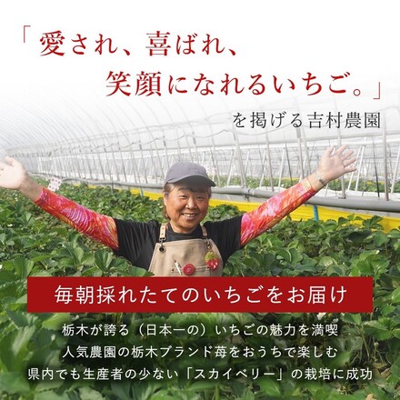 特選季節のフルーツ│とちあいか2パック300g