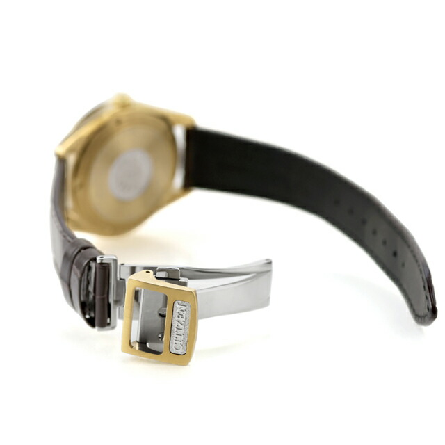 ザシチズン 30周年記念限定 Iconic Nature Collection　和紙文字板 光発電エコドライブ 腕時計 ブランド メンズ チタン 数量限定 ソーラー THE CITIZEN AQ4103-16W アナログ 日本製 高級 おしゃれ 防水 プレゼント 男性 実用的