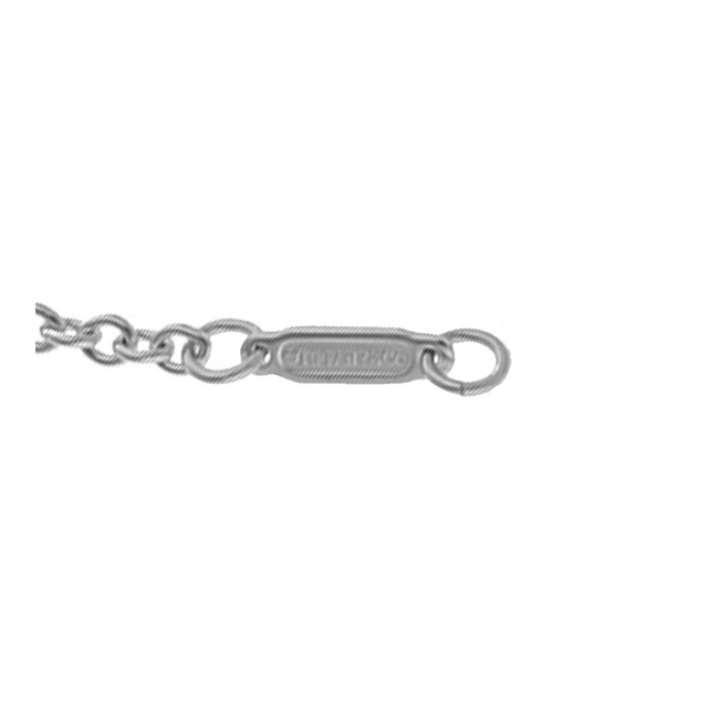 ティファニー ネックレス レディース ブランド Tiffany 74956580 シルバー/ティファニーブルー アクセサリー