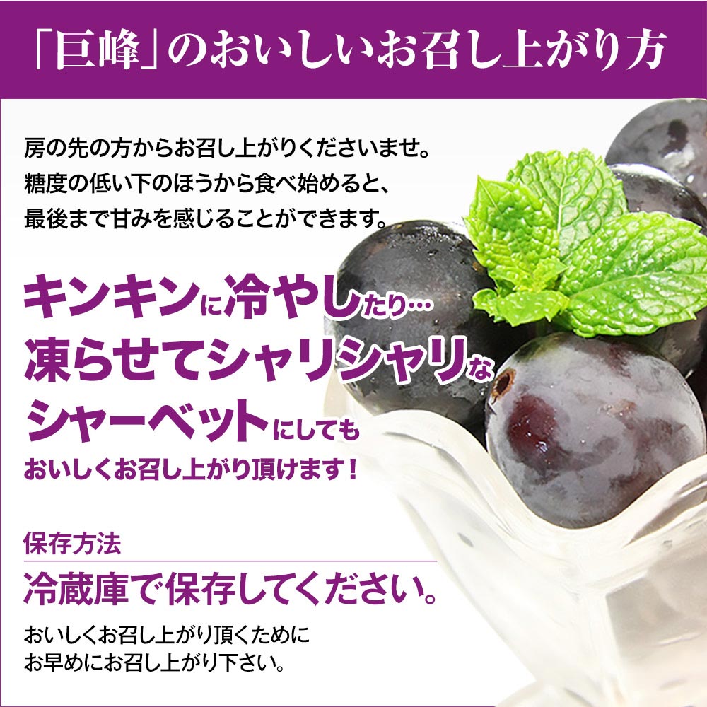 ぶどう ギフト 九州産 巨峰 1.2kg前後 お中元 ギフト 旬 フルーツ 葡萄 フルーツギフト 果物 食品 熊本 《3-7営業日以内に出荷予定》