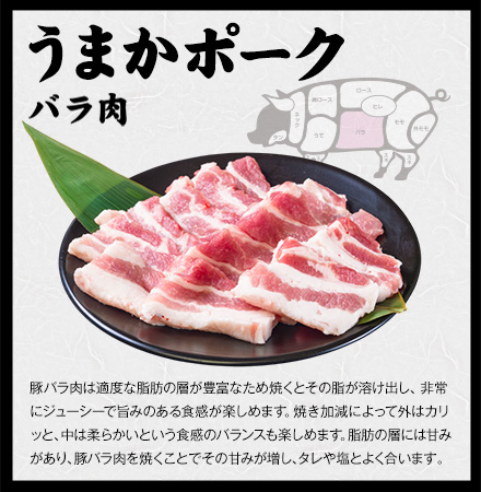  焼肉食べ比べセット 黒毛和牛 豚肉 500g 焼肉セット BBQ 国産 九州産 焼肉 肉 お肉 ウデ モモ 赤身 うまかポーク バラ肉【7-14営業日以内に発送予定（土日祝除く）】