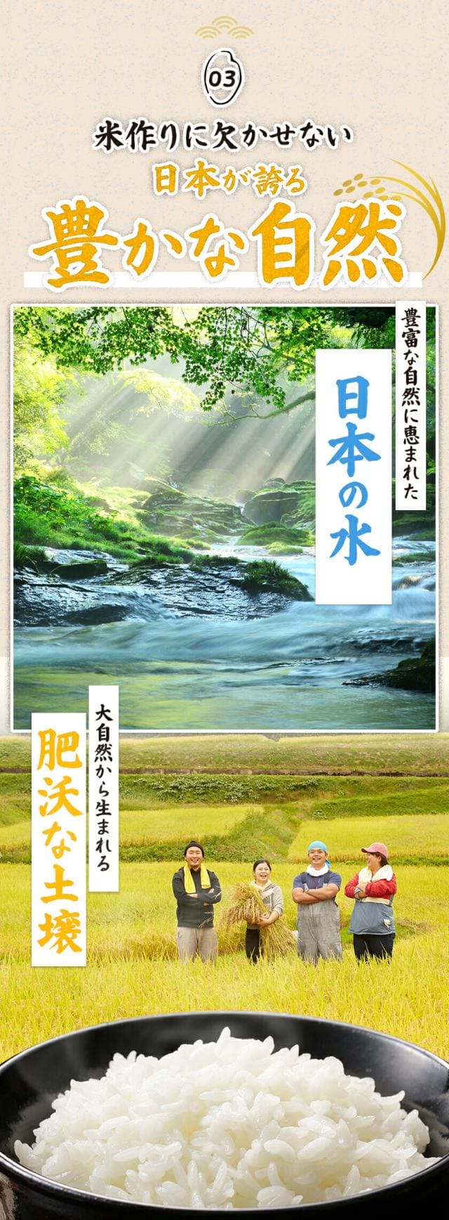 国産 ふるさと米 白米 10kg 訳あり わけあり 精米済み 5kg×2袋 非常食 保存食 お徳用 コメ お米 6月上旬から6月中旬発送予定