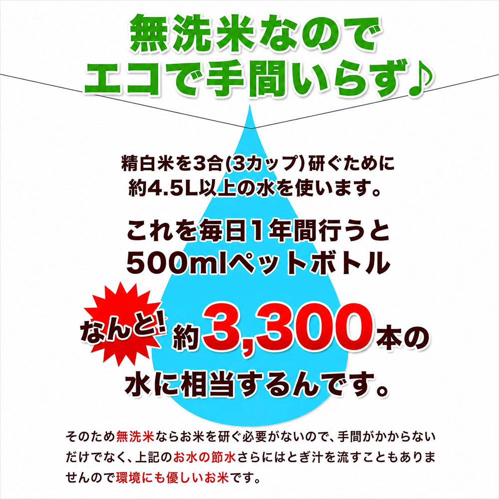 【★最短翌日発送！！★】令和7年産 米 国産 ブレンド ふるさと 無洗米 5kg 精米 国産ふるさと無洗米 非常食 保存食 こめ コメ kome ご当地風土 熊本 1-3営業日以内に出荷予定(土日祝除く)