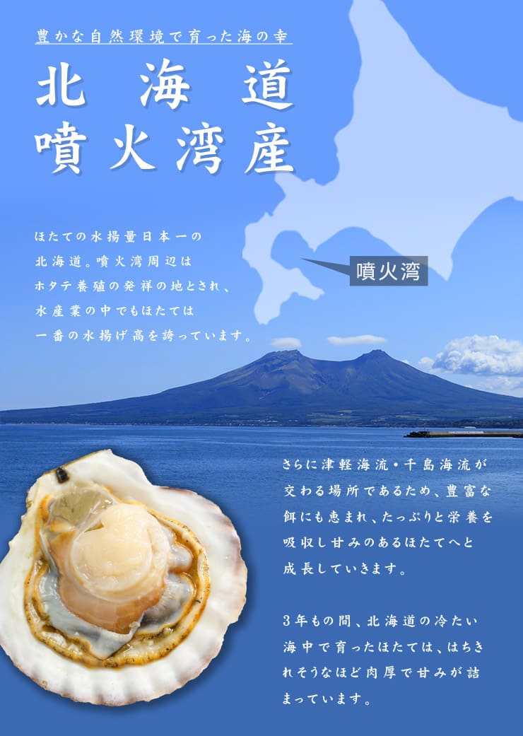 北海道産 ボイルほたて 2Lサイズ 800g(16~20玉入) [ボイルホタテ]