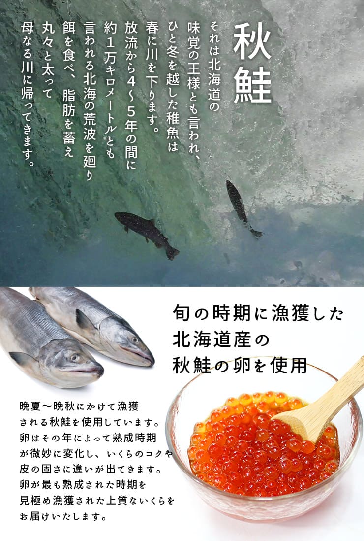 北海道産 いくら醤油漬け 500g [鮭イクラ500g]