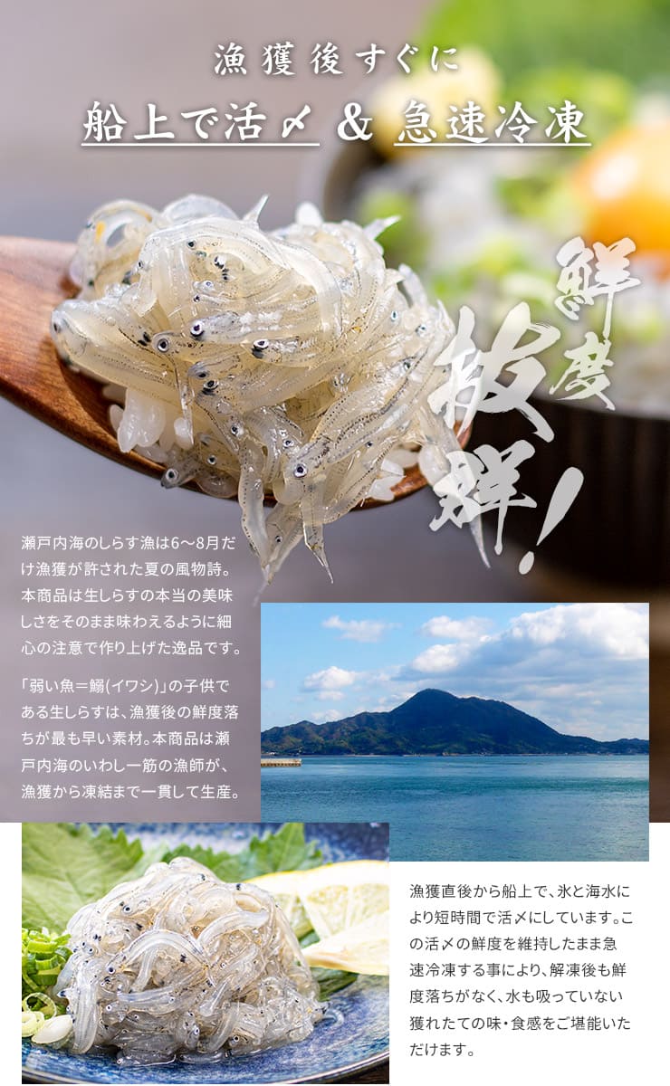 瀬戸内海産 生しらす 200g（お刺身用） [生シラス200g]