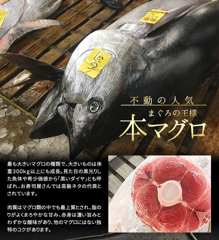 カタログ ギフト 本マグロ・海の幸 選べるギフト「楓」(かえで) [カタログギフト-楓]