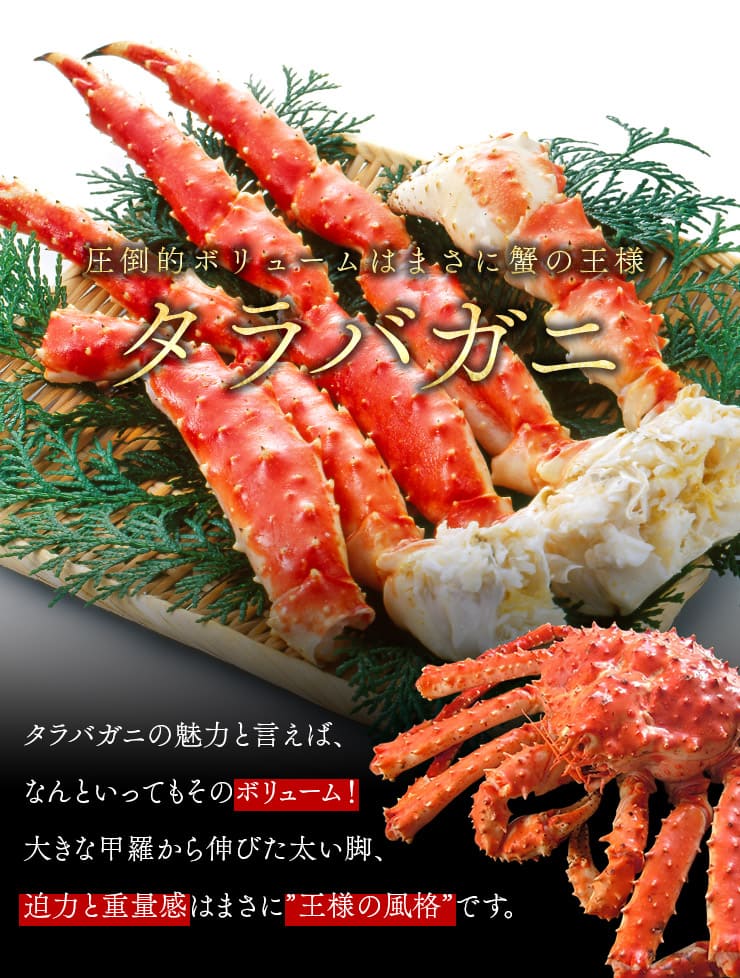 特大 ボイルタラバガニ プレミアムサイズ 1肩 1.5kg（NET1.2～1.3kg） [タラバ蟹1.5kg]