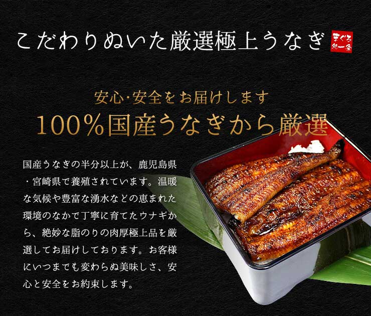 きざみうなぎ 5食分（80g×5パック） 脂ののった国産うなぎ使用 [きざみうなぎ-5p]